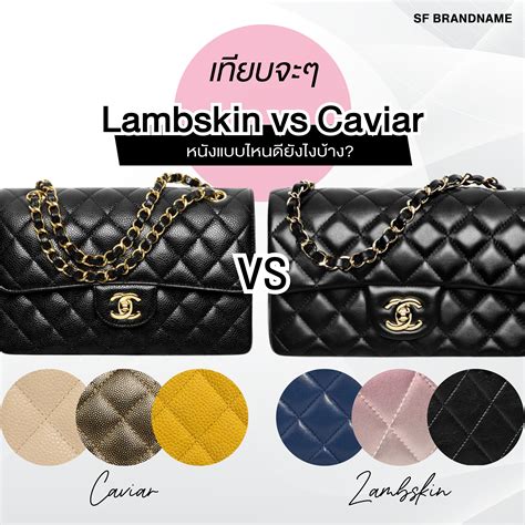 is chanel caviar cheaper than lambskin|Chanel Lambskin vs. Caviar Leather – Decoding Luxury – .